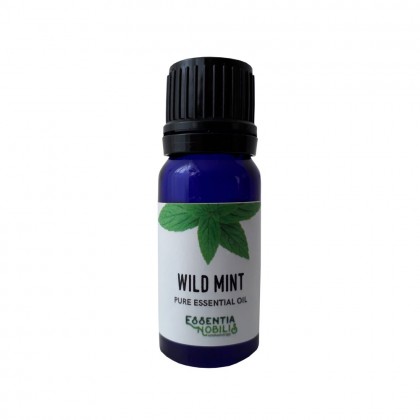 Wild Mint - Økologisk Eterisk olje - Essentia Nobilis - 10 ml
