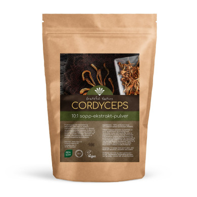 Cordyceps 10:1 konsentrert ekstrakt - Pulver