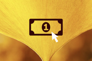 Betal i handlekruven