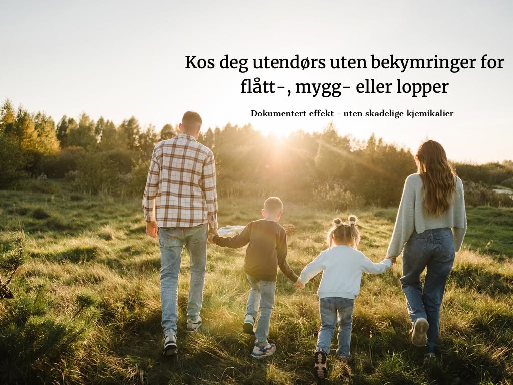 Flått