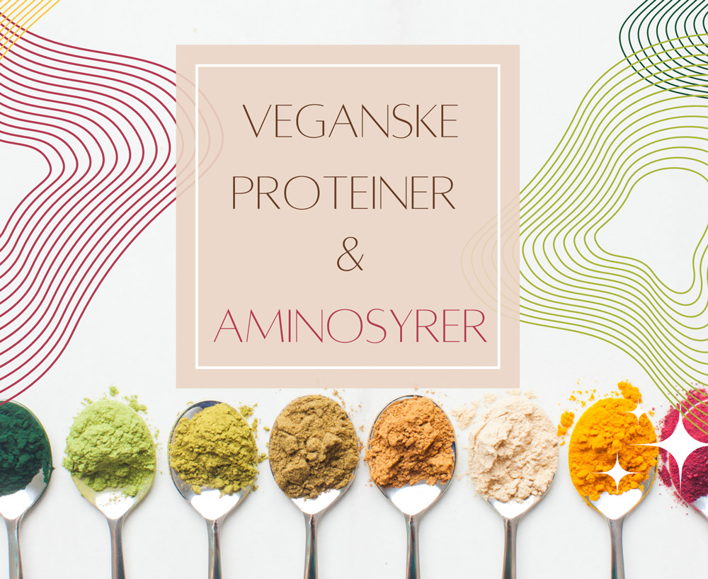 Proteiner & Aminosyrer