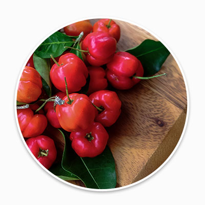 Acerola