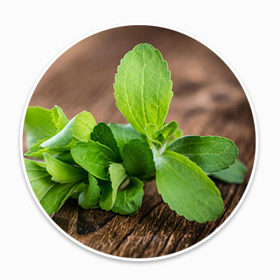 Stevia